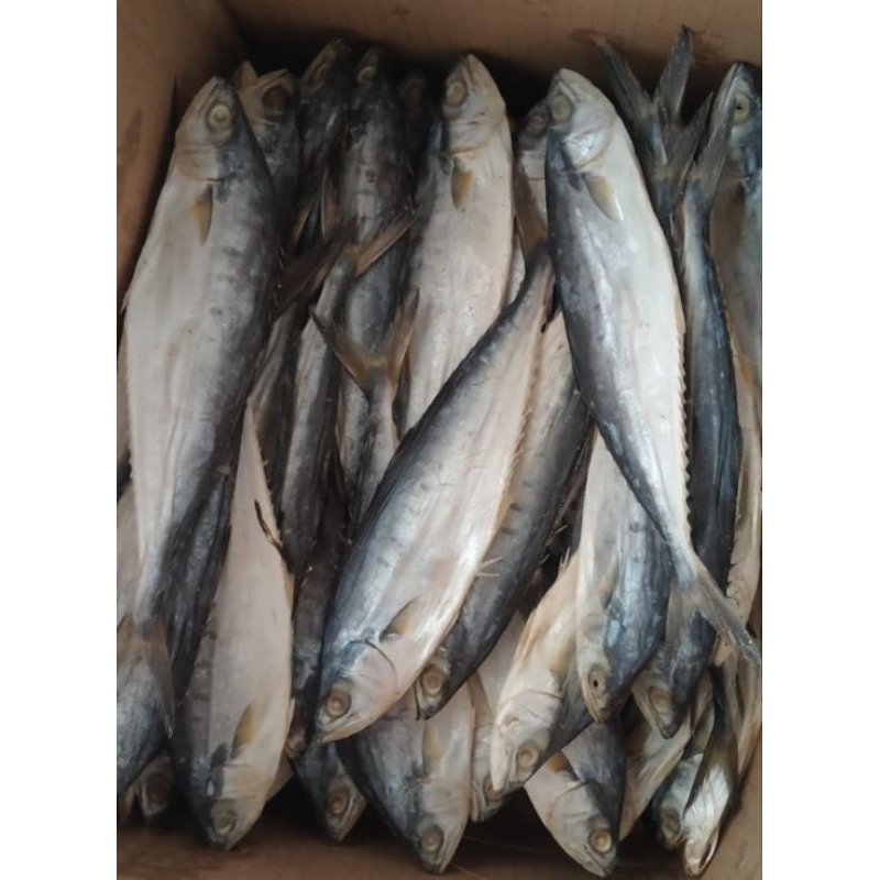 

ikan asin talang super 500 gram