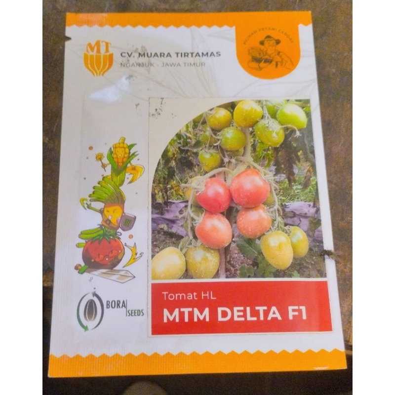 Mtm delta f1 benih tomat