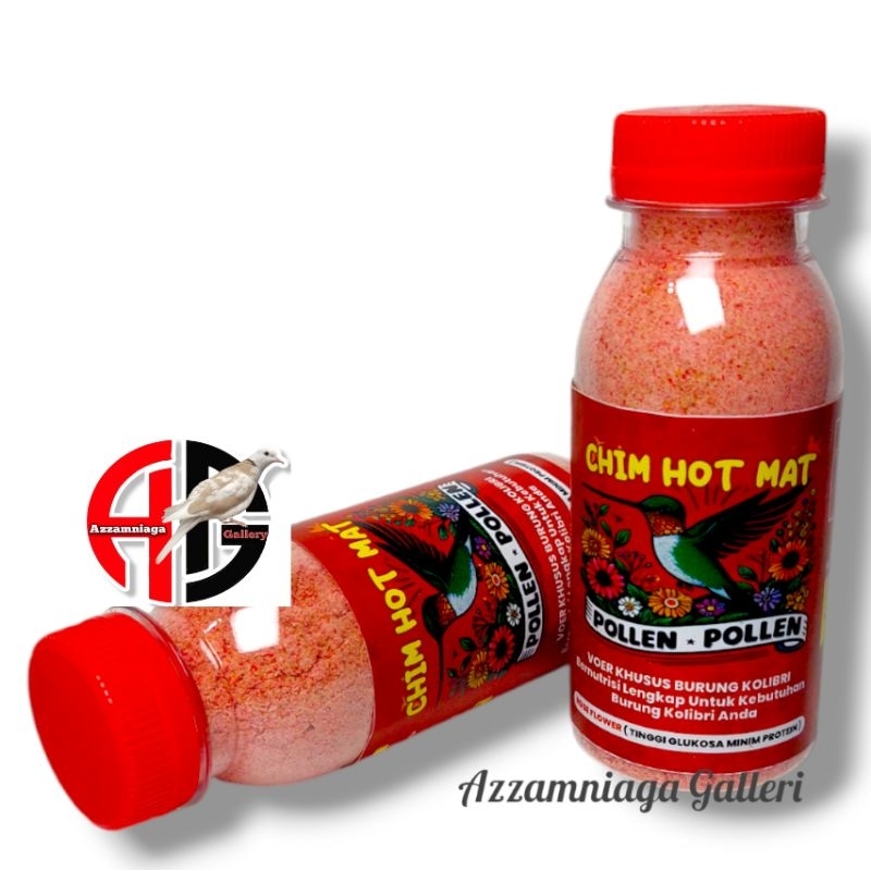 VOER CHIM HOT MAT VOER KOLIBRI VOER BURUNG SOGON
