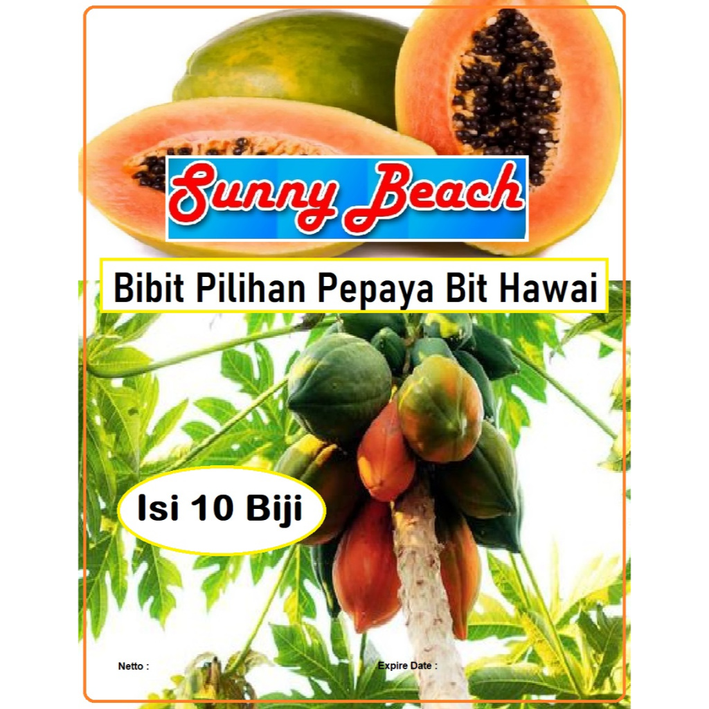 Bibit Pilihan Pepaya Bit Hawai | Biji Benih Pepaya Bit Hawai | Biji Bibit Pepaya Bit Hawai