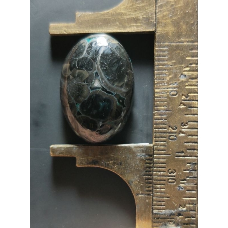 bacan gulau serat kura