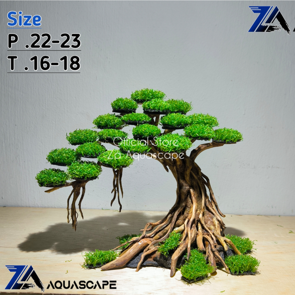 KAYU POHON BONSAI AQUASCAPE HIASAN AQUARIUM 30CM