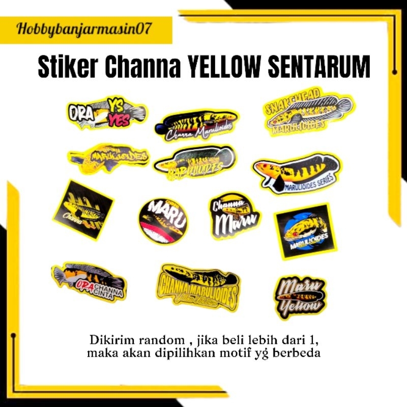 

(1 PCS RANDOM ) STIKER CHANNA STICKER CHANNA YELLOW SENTARUM MARULIODES