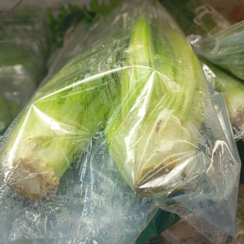 

CELERY STICK LOKAL 500 GRAM