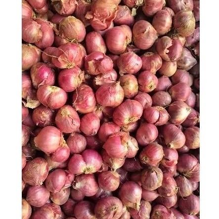 

bawang merah bima berkualitas 1 kg