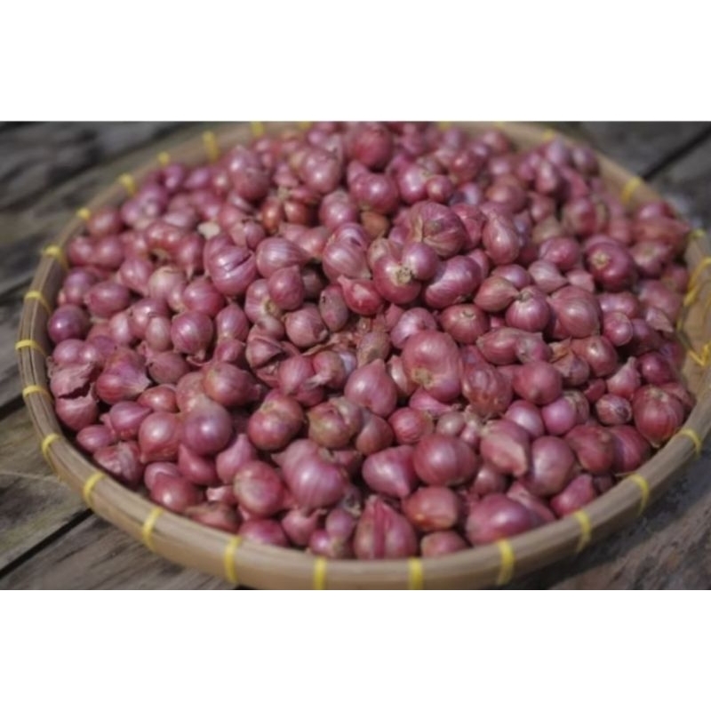 

Bawang merah Probolinggo super 1kg