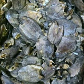 

Ikan asin tembakang 250gr