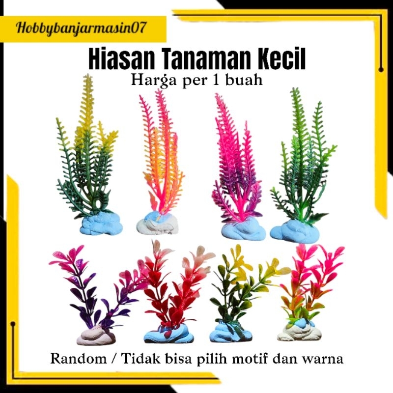 tanaman aquarium hiasan aquarium dekorasi Aquarium kecil