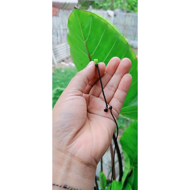 Tali burung kutilang & trucuk