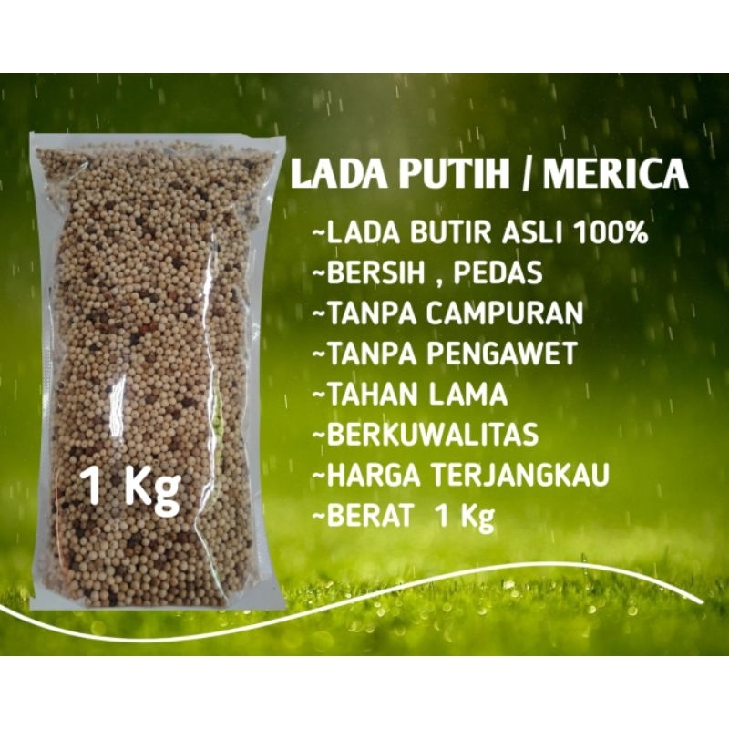 

MERICA / LADA PUTIH /BERKUALITAS/MURAH1 KG /Rp150.000