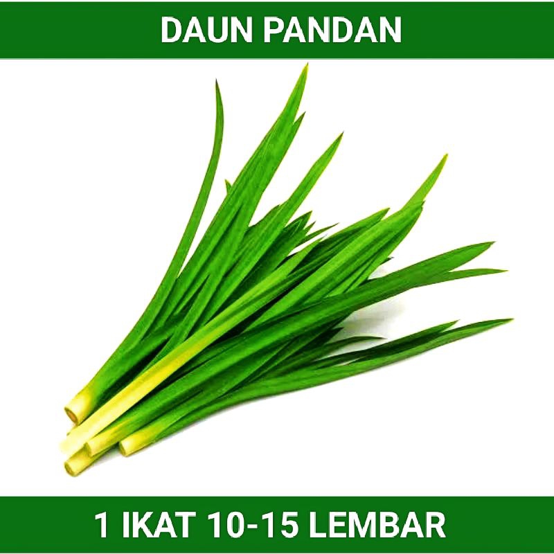 

DAUN PANDAN SEGAR FRESH / 1 IKAT ( 10-15 Lembar )