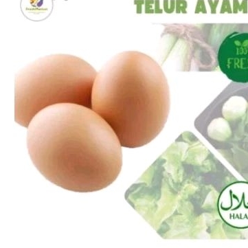 

murah telur ayam ukuran sedang satuan