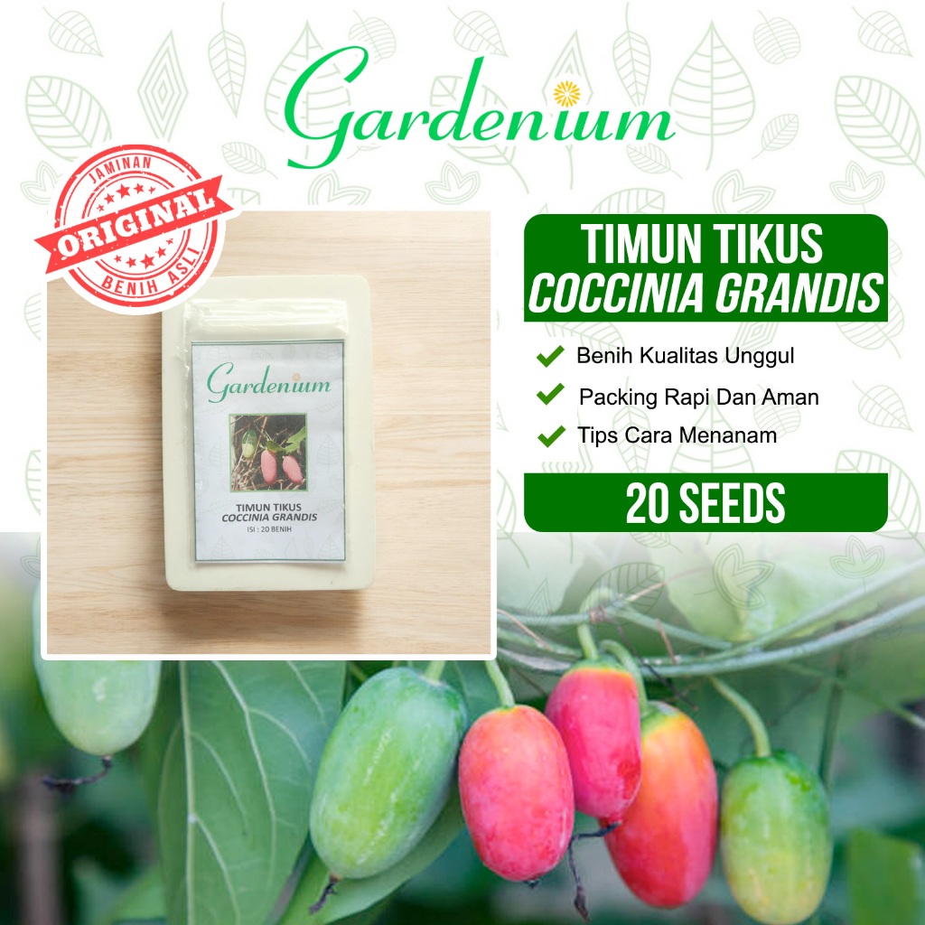 GARDENIUM Benih Timun Tikus Timun Padang Coccinia Grandis