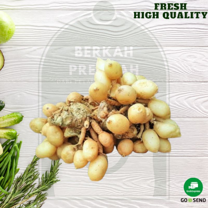 

Kunyit putih / kunci pepet (Kaempferia-Rotunda) 1000gr