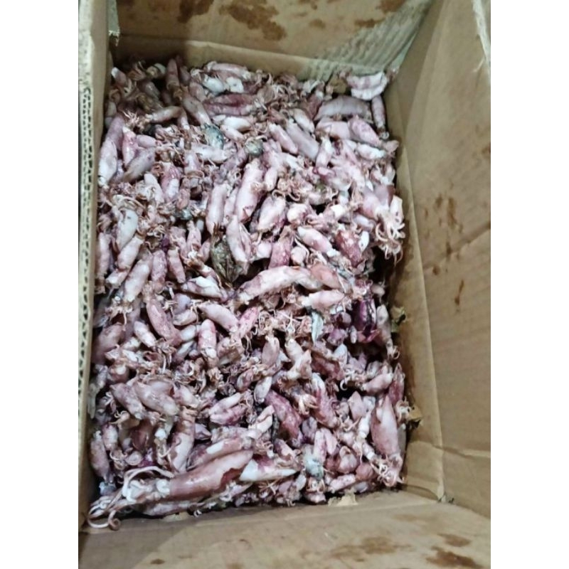 

cumi asin 500gr-1kg cumi sotong