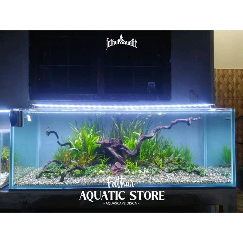 HARDSCAPE NATURAL TANK AQUASCAPE & PREDATOR