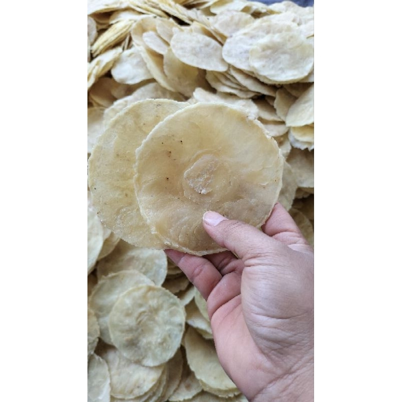 

EMPING MELINJO JUMBO ORIGINAL (10-15 biji melinjo) kemasan 500gram