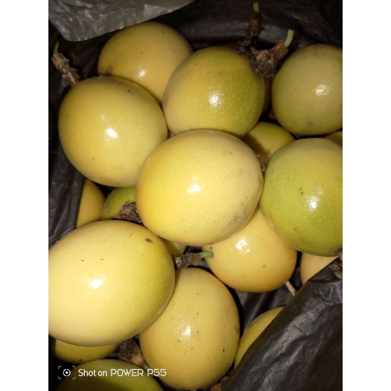 

Buah Segar Markisa Kuning berat 1Kg by Rezray shop