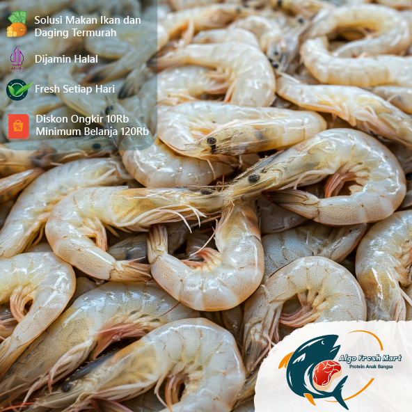 

[TERMURAH] Udang Ukuran Kecil Fresh (450-500Gr)