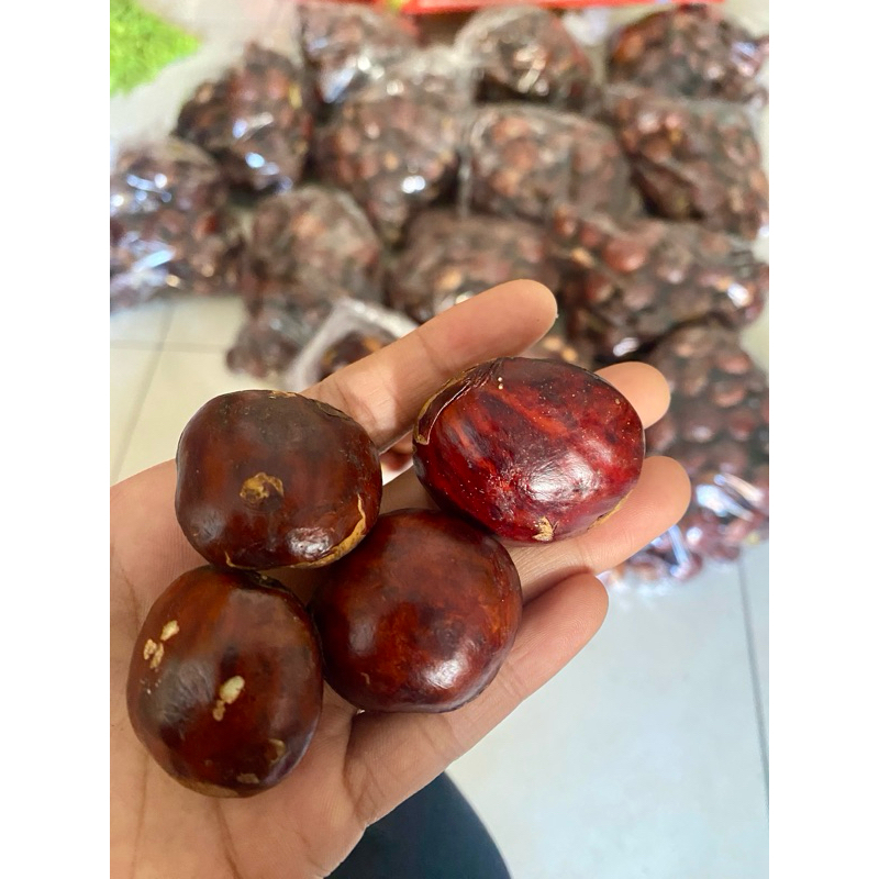 

jengkol tua /jengki/jengkol pulen/jreng/jengkol pulen