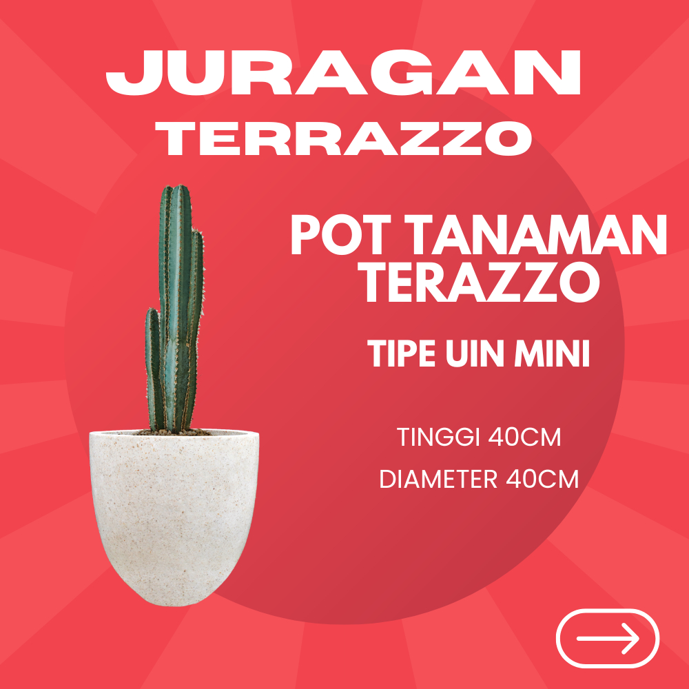 JURAGAN_TERAZZO - POT TANAMAN UNIK TERASO | VAS BUNGA CANTIK BATU ALAM TIPE UIN MINI| POT TABUNG