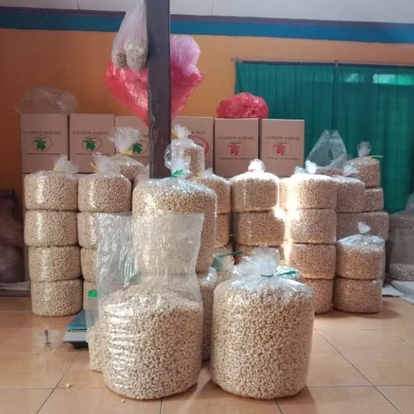 

PAKET USAHA KACANG METE SUPER KERING 10KG