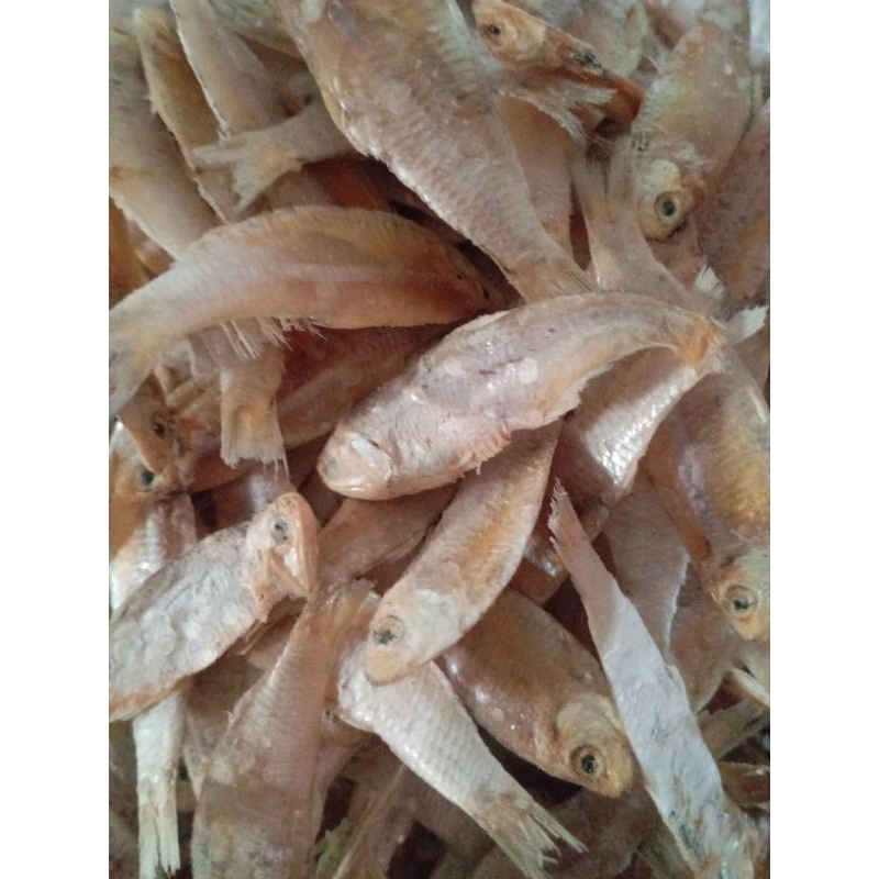 

ikan srinding asin 250gr/ikan kering asin fresh