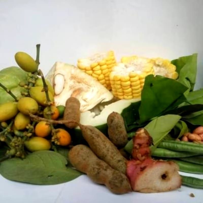

1 Pack Sayur Asem | Sayur Sop | Sayur Lodeh