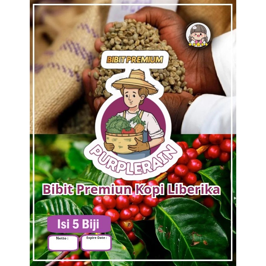 Bibit Premium Biji Kopi Liberika | Biji Bibit Kopi Liberika | Biji Benih Kopi Liberica