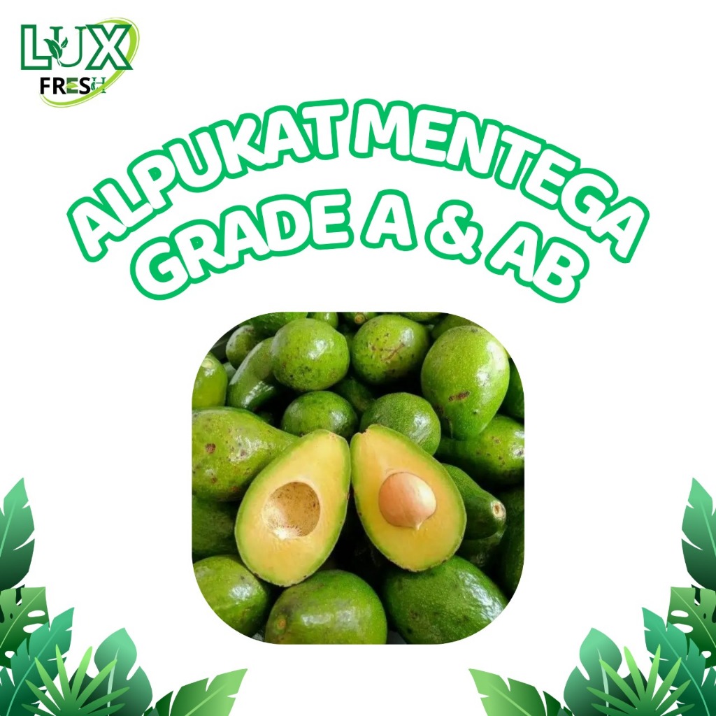 

BUAH ALPUKAT MENTEGA GRADE A DAN AB 500 GRAM DAN 1 KG SEGAR DAN BERKUALITAS