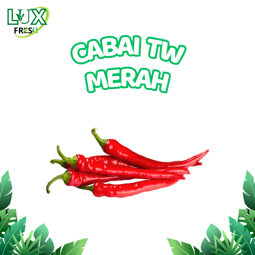 

CABAI TW MERAH 500 GRAM DAN 1 KG SEGAR DAN BERKUALITAS