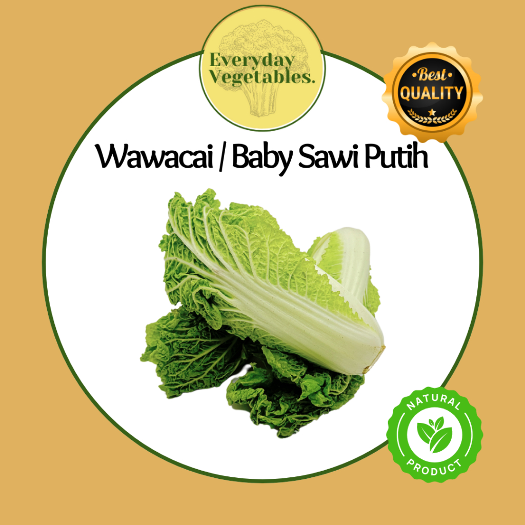 

Baby Sawi Putih / Wawacai per Box @6KG