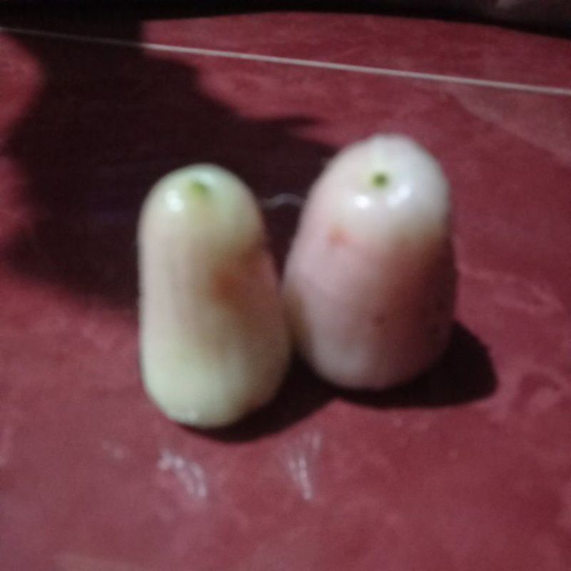 

jambu air