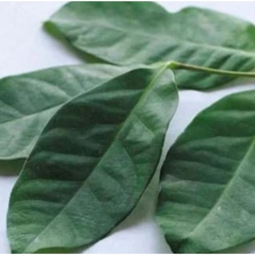 

Daun Salam per Pack isi 7 daun salam