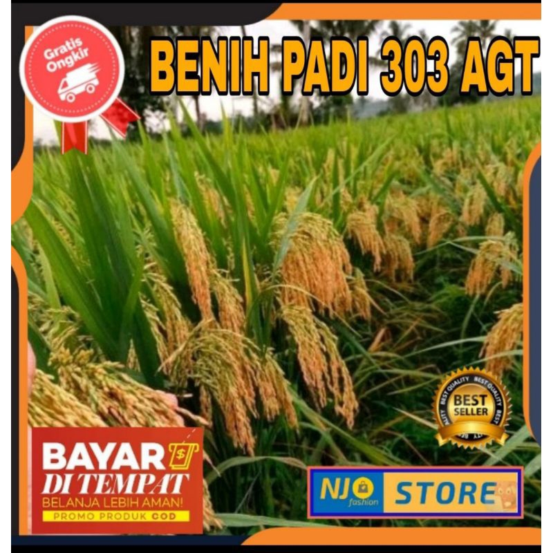 BENIH PADI AGT 303