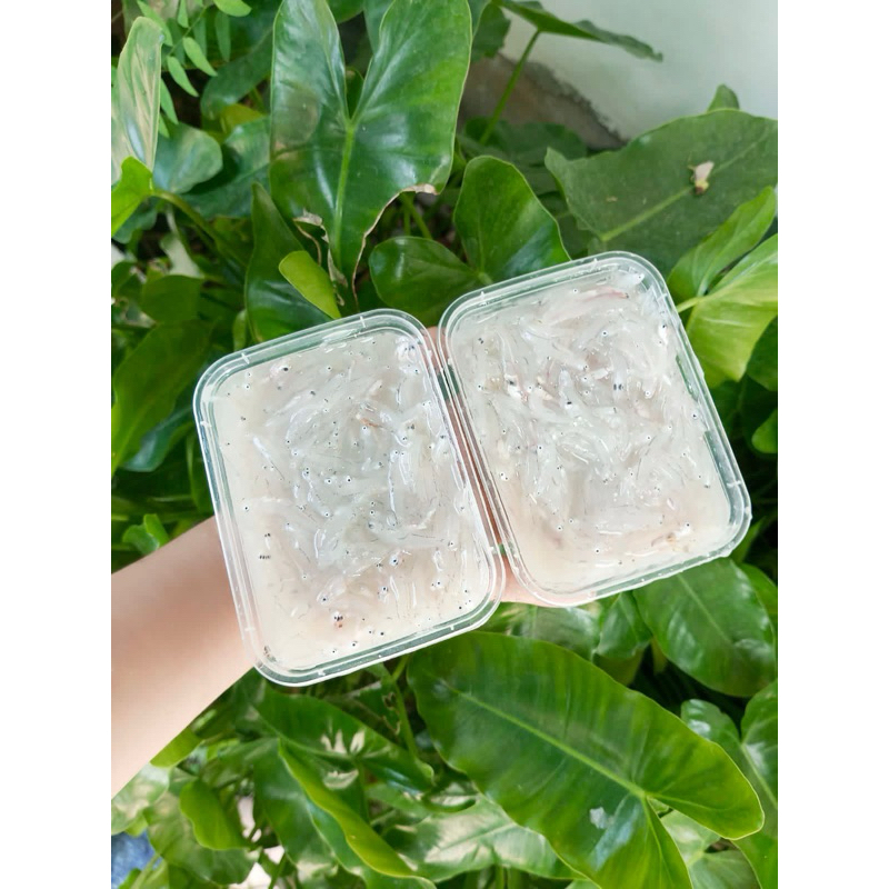 

teri nasi basah 1 kg