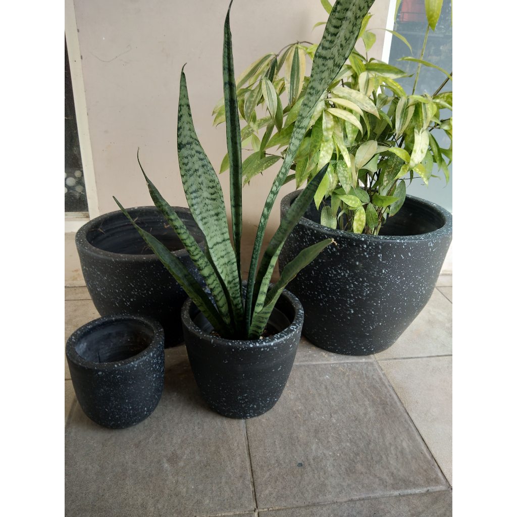 POT HITAM HITAM TANAMAN HIAS DARI GERABAH TANAH LIAT