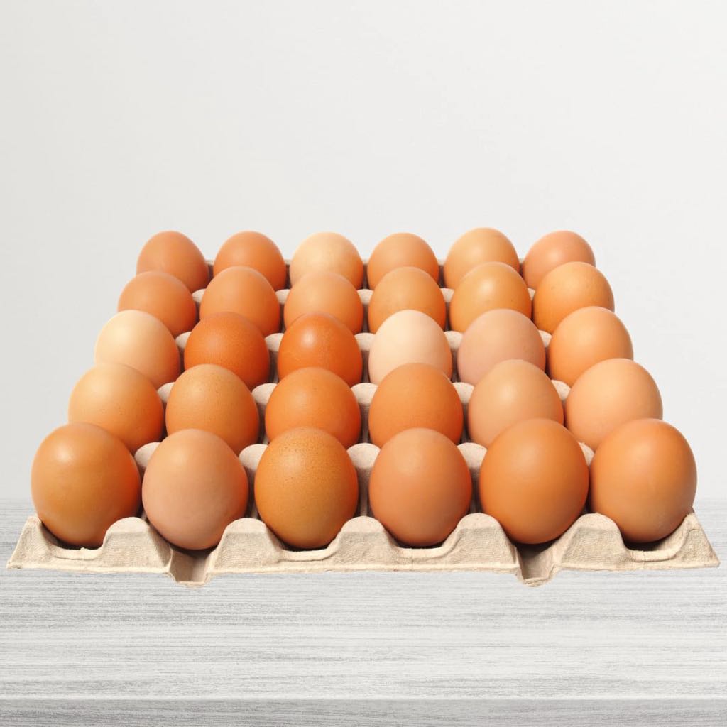 

TELUR AYAM PER PAPAN
