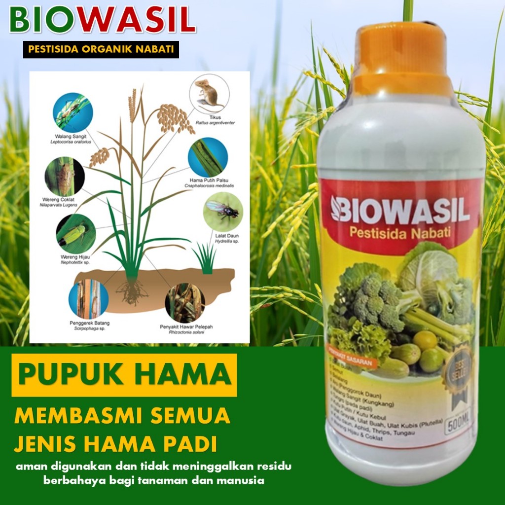 BIOWASIL: Pupuk Pestisida, Fungisida, Insektisida Organik Pembasmi Hama | Pestisida Nabati Organik u