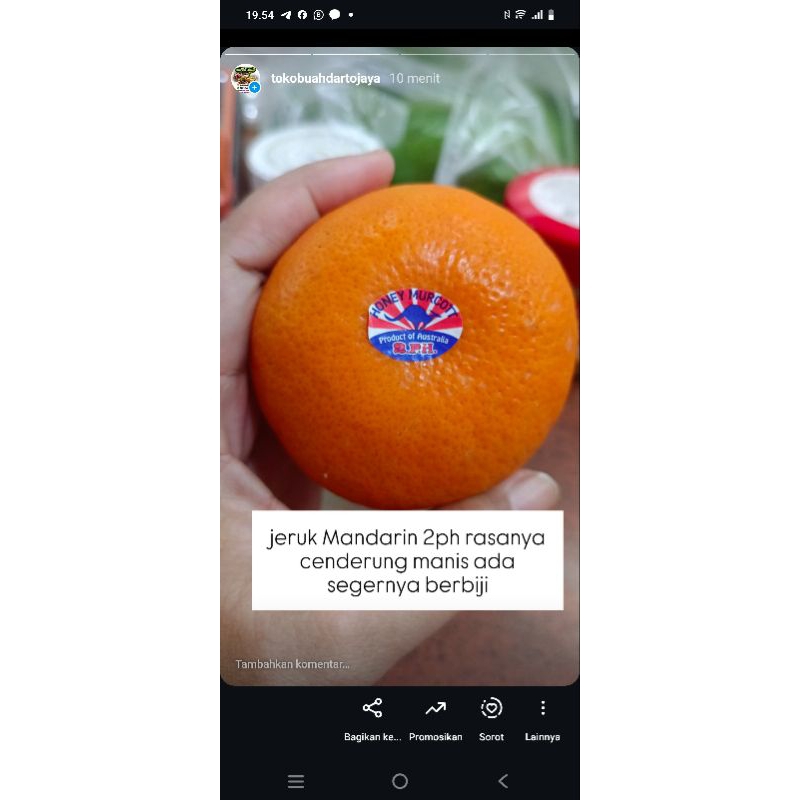 

Jeruk Mandarin 2ph - Toko Buah Darto Jaya