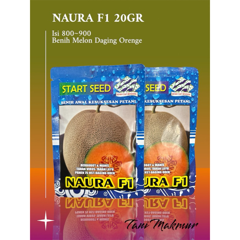 BENIH MELON ORANGE TAHAN VIRUS NAURA F1 20 GR 800-900biji