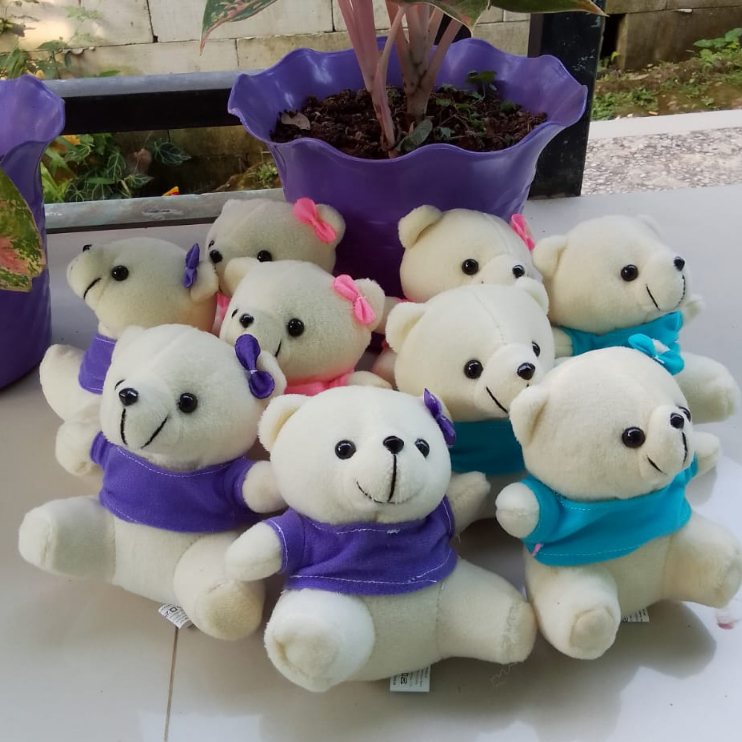 BONEKA WISUDA / HAMPERS/BONEKA BUKET 15 CM/BONEKA BERUANG KOMBINASI/BONEKA MINI boneka teddy bear mi