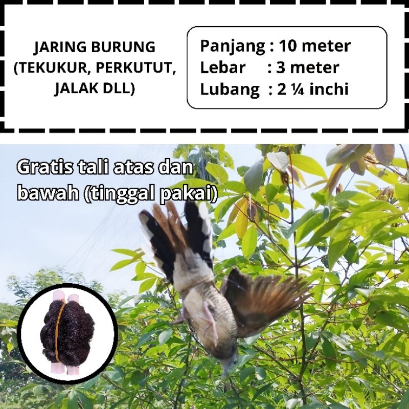 JARING BURUNG TERKUKUR JARING BURUNG TEKUKUR SIAP PAKAI JARING TEKUKUR JARING BURUNG TERMURAH