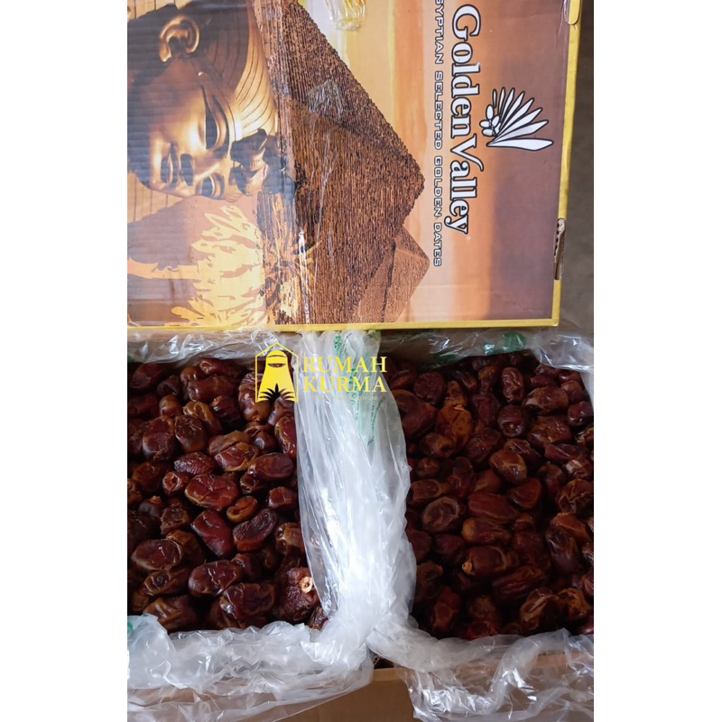 

Kurma Golden Valley 10kg termurah panen baru fresh