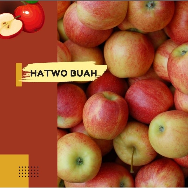 

Hatwo Bauh Apel Fuji import manis garing murah 1 kg