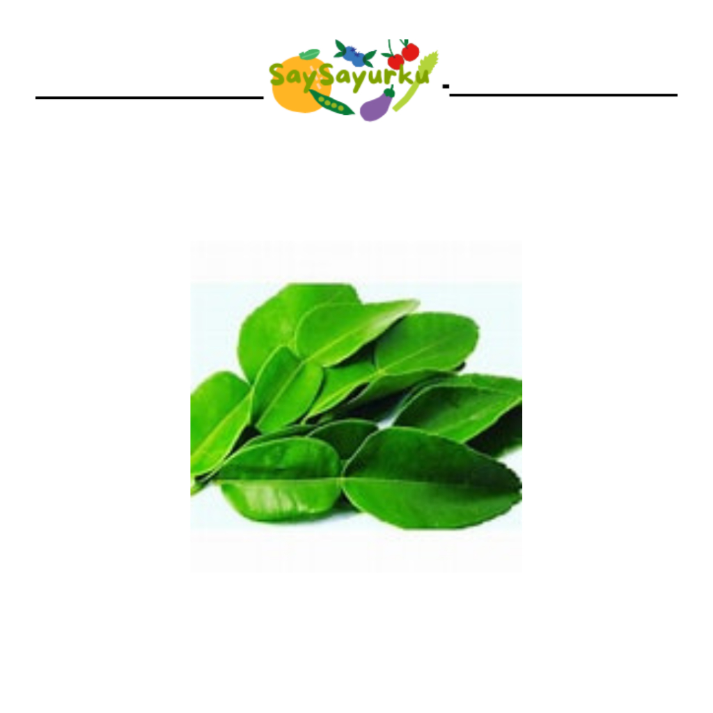 

DAUN JERUK PACK