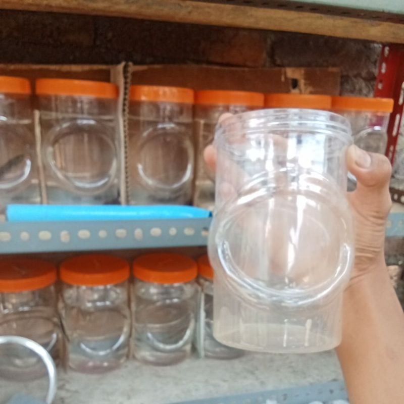 toples isi limbata pair proven