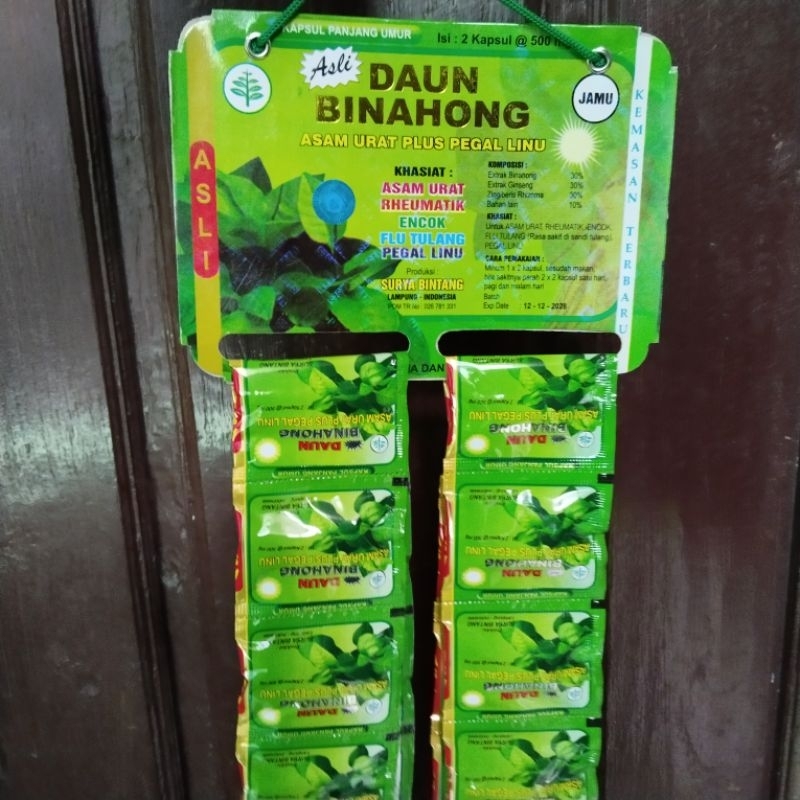 daun binahong kapsul original asli