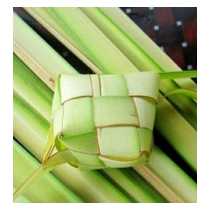 janur muda janur kuning 25 lembar