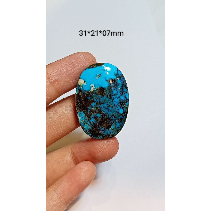 PIRUS PERSIA BIRU SERAT HITAM